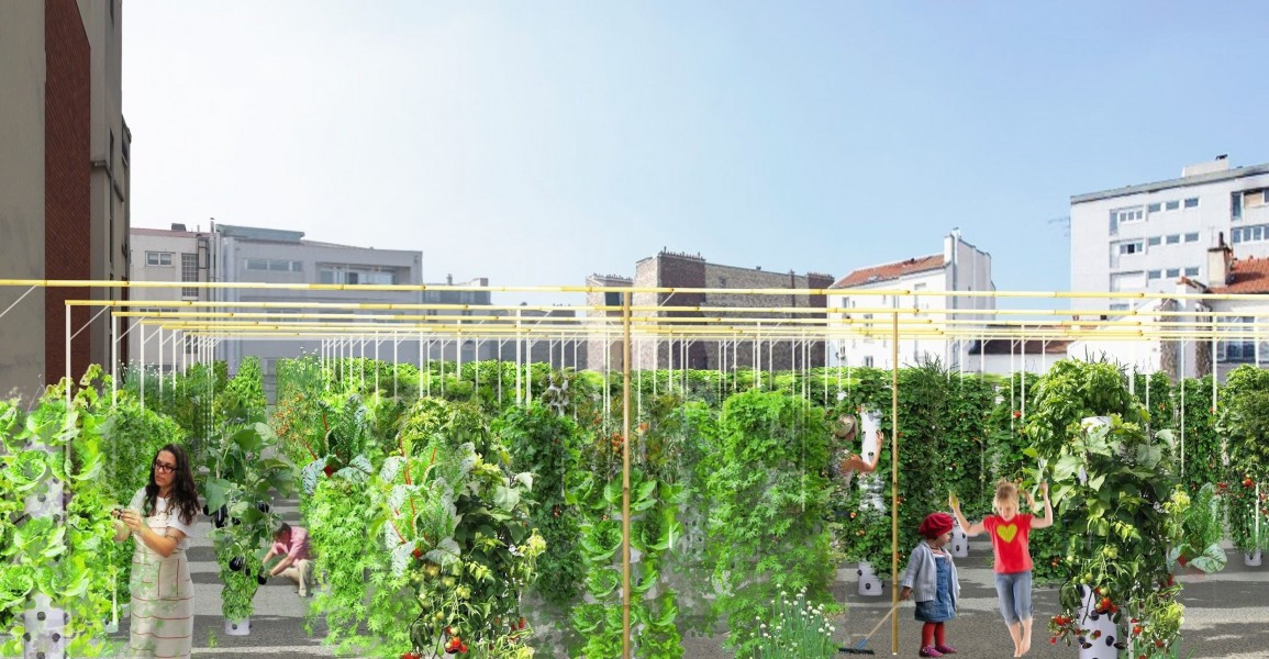 La plus grande ferme urbaine  du monde verra le jour  Paris